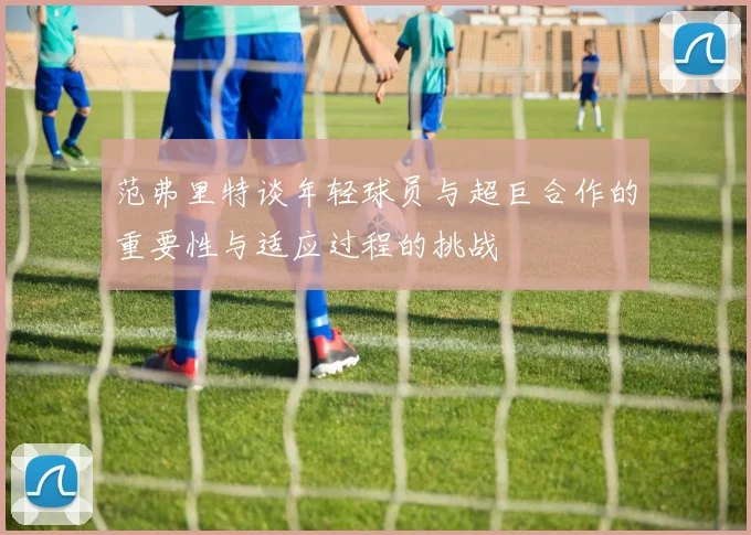 范弗里特谈年轻球员与超巨合作的重要性与适应过程的挑战