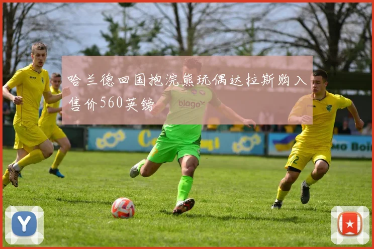 哈兰德回国抱浣熊玩偶达拉斯购入售价560英镑