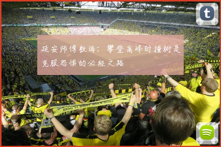 延安师傅教诲：攀登高峰时撞树是克服恐惧的必经之路