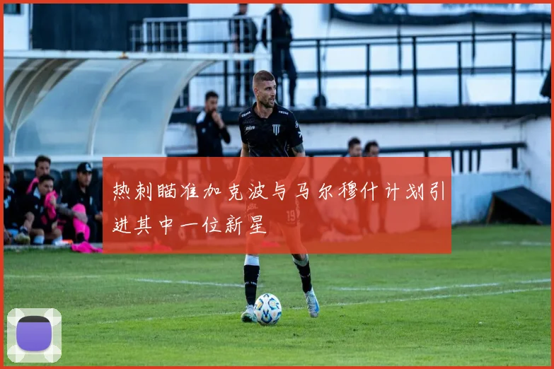 热刺瞄准加克波与马尔穆什计划引进其中一位新星