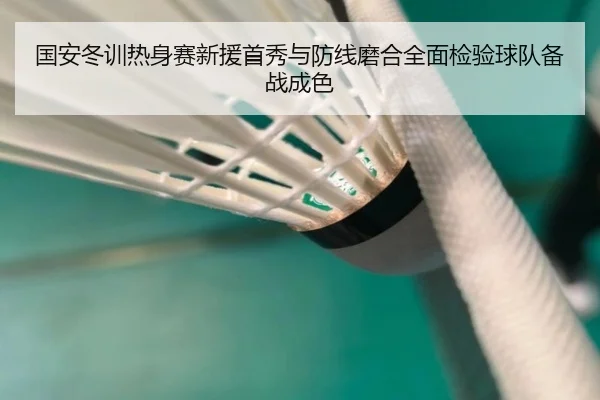 国安冬训热身赛新援首秀与防线磨合全面检验球队备战成色 - SANYI